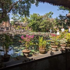 Meet your Posher, Kemar